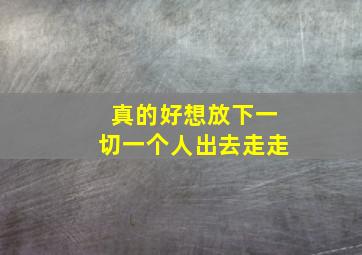 真的好想放下一切一个人出去走走