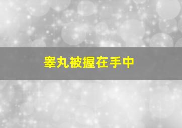 睾丸被握在手中