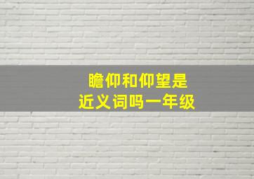 瞻仰和仰望是近义词吗一年级