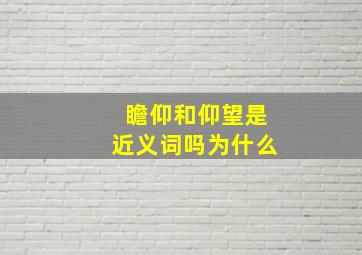 瞻仰和仰望是近义词吗为什么