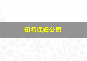 知名保姆公司