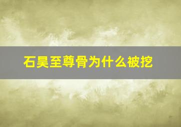 石昊至尊骨为什么被挖