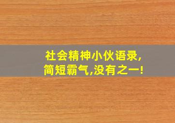 社会精神小伙语录,简短霸气,没有之一!