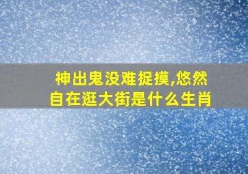 神出鬼没难捉摸,悠然自在逛大街是什么生肖