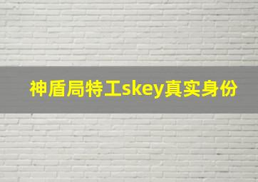 神盾局特工skey真实身份