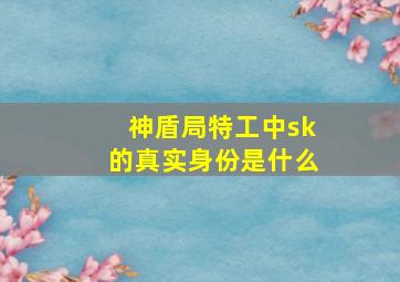 神盾局特工中sk的真实身份是什么