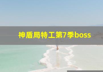 神盾局特工第7季boss