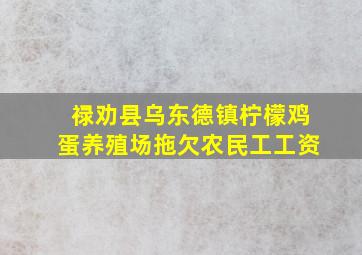 禄劝县乌东德镇柠檬鸡蛋养殖场拖欠农民工工资