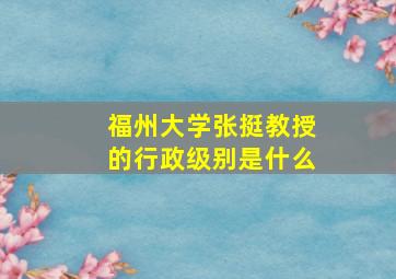 福州大学张挺教授的行政级别是什么