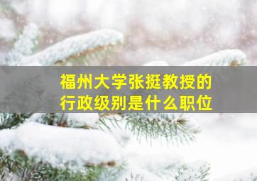 福州大学张挺教授的行政级别是什么职位