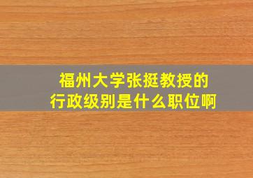 福州大学张挺教授的行政级别是什么职位啊