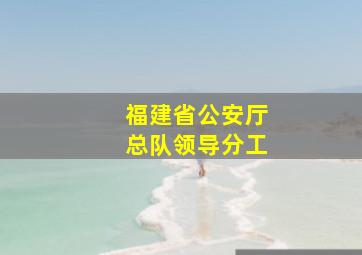 福建省公安厅总队领导分工