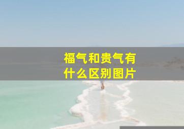 福气和贵气有什么区别图片