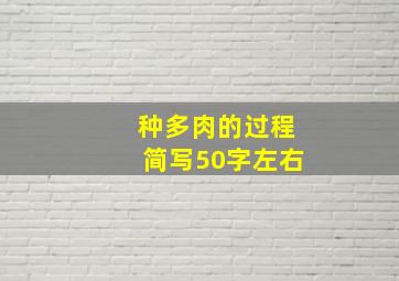 种多肉的过程简写50字左右