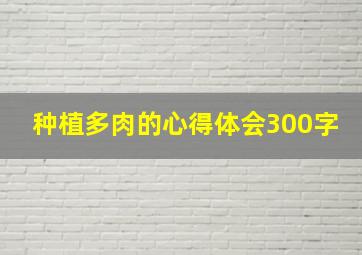 种植多肉的心得体会300字