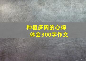 种植多肉的心得体会300字作文