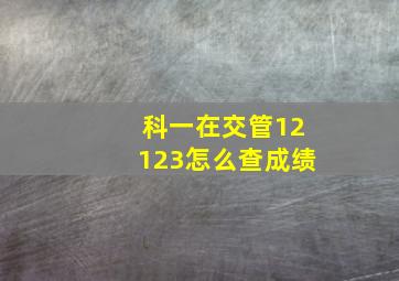 科一在交管12123怎么查成绩