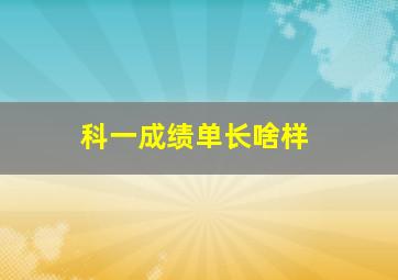 科一成绩单长啥样