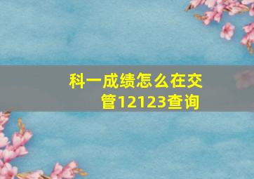 科一成绩怎么在交管12123查询