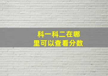 科一科二在哪里可以查看分数