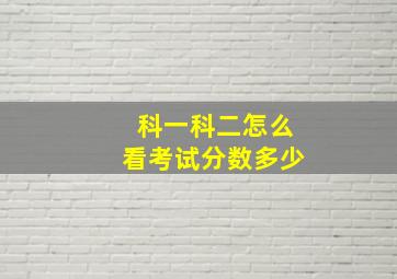 科一科二怎么看考试分数多少