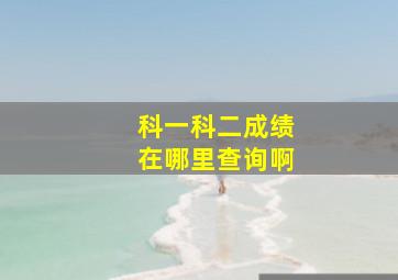 科一科二成绩在哪里查询啊