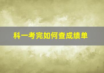 科一考完如何查成绩单