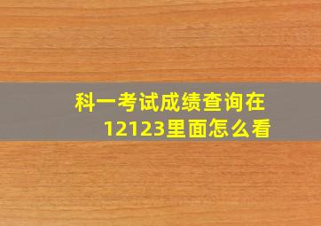 科一考试成绩查询在12123里面怎么看