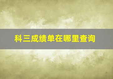 科三成绩单在哪里查询