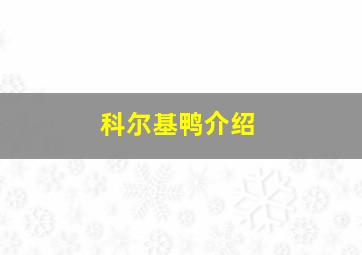 科尔基鸭介绍