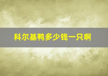 科尔基鸭多少钱一只啊