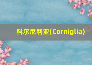 科尔尼利亚(Corniglia)