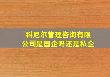 科尼尔管理咨询有限公司是国企吗还是私企