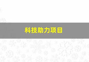 科技助力项目