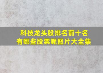 科技龙头股排名前十名有哪些股票呢图片大全集