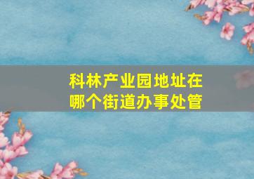 科林产业园地址在哪个街道办事处管