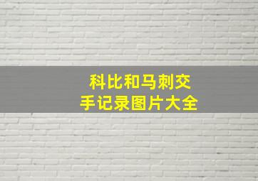 科比和马刺交手记录图片大全