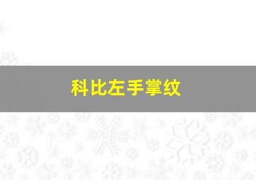 科比左手掌纹