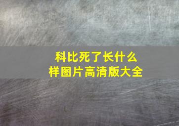 科比死了长什么样图片高清版大全