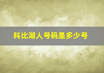 科比湖人号码是多少号