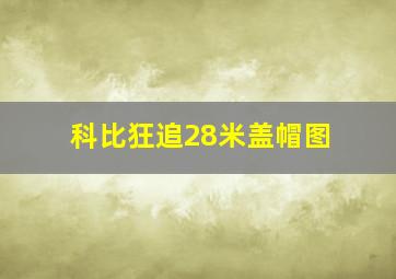 科比狂追28米盖帽图