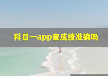 科目一app查成绩准确吗