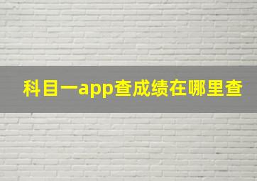 科目一app查成绩在哪里查