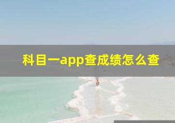 科目一app查成绩怎么查