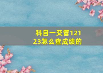 科目一交管12123怎么查成绩的