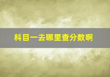 科目一去哪里查分数啊