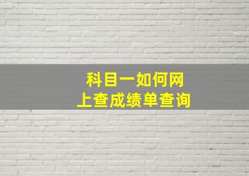 科目一如何网上查成绩单查询