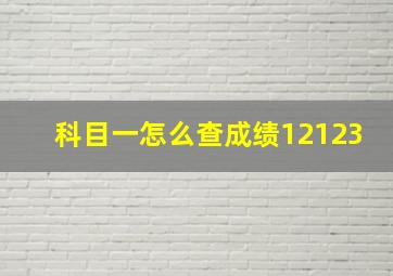 科目一怎么查成绩12123