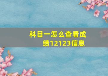 科目一怎么查看成绩12123信息