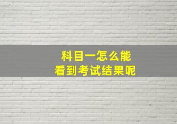 科目一怎么能看到考试结果呢